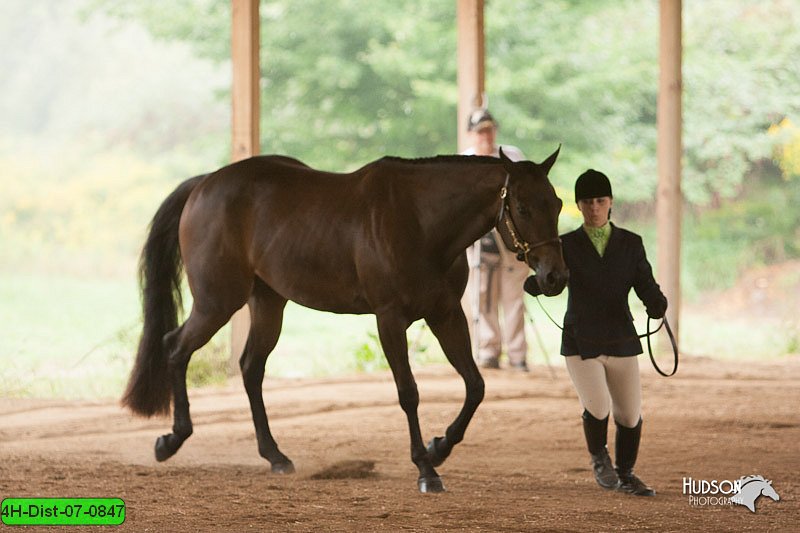 4H-Dist-07-0847.jpg