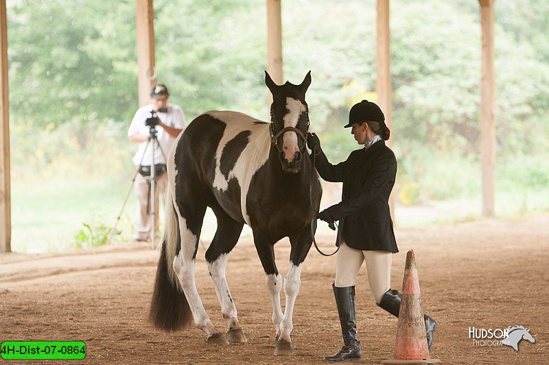 4H-Dist-07-0864.jpg