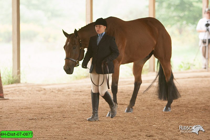 4H-Dist-07-0877.jpg