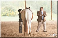 4H-Dist-07-0818.jpg