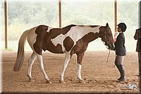 4H-Dist-07-0825.jpg