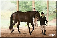 4H-Dist-07-0847.jpg
