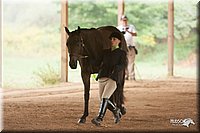 4H-Dist-07-0848.jpg