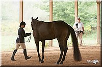 4H-Dist-07-0850.jpg