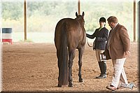 4H-Dist-07-0855.jpg