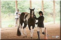 4H-Dist-07-0864.jpg