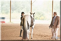 4H-Dist-07-0868.jpg
