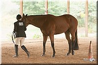 4H-Dist-07-0875.jpg