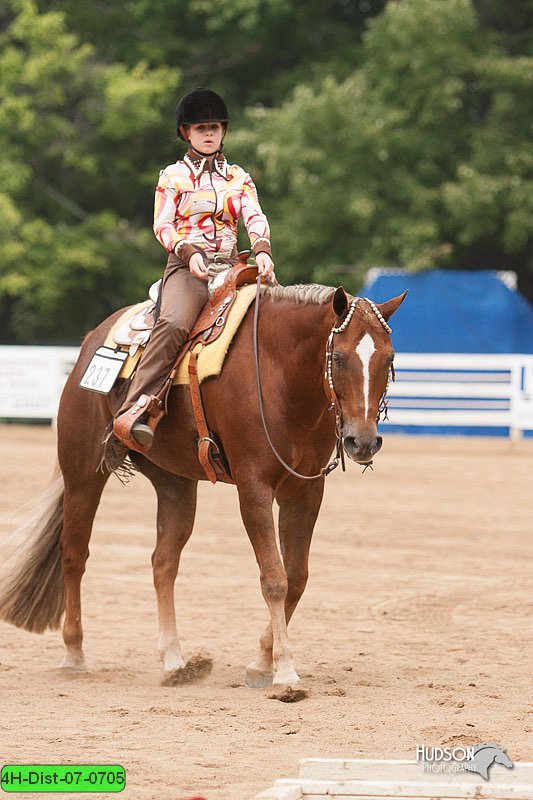 4H-Dist-07-0705.jpg