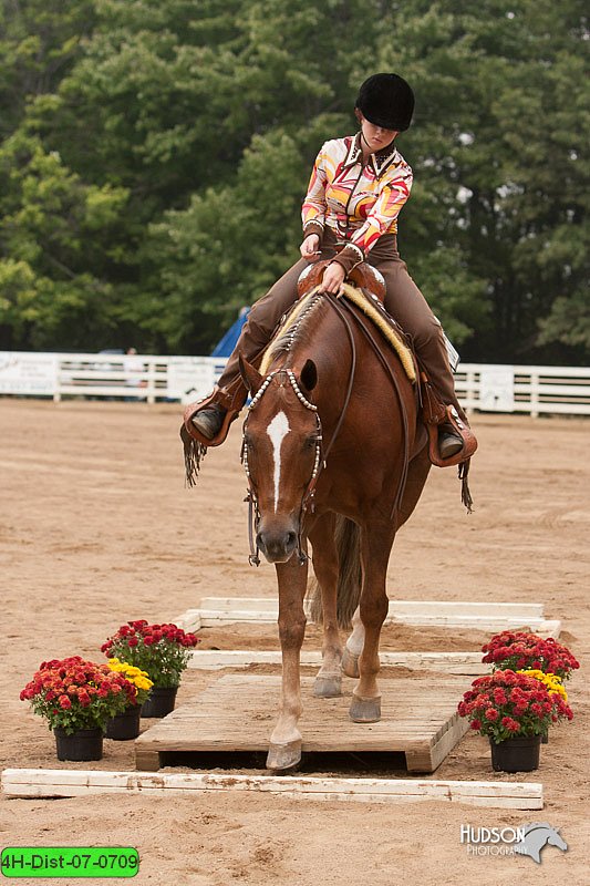 4H-Dist-07-0709.jpg