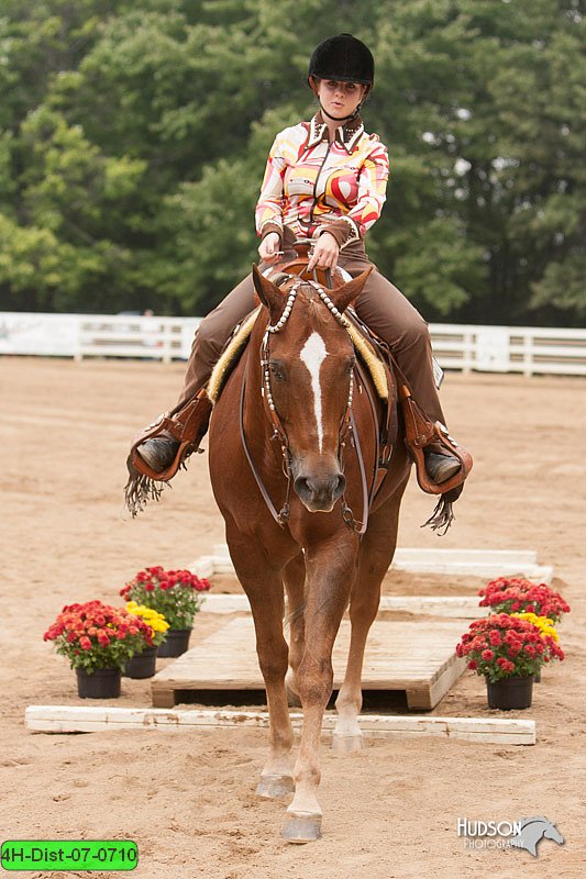 4H-Dist-07-0710.jpg
