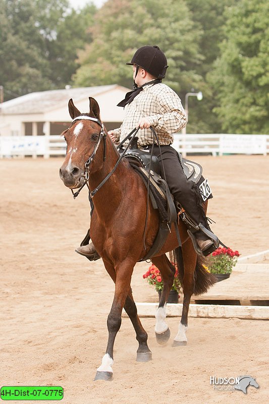 4H-Dist-07-0775.jpg