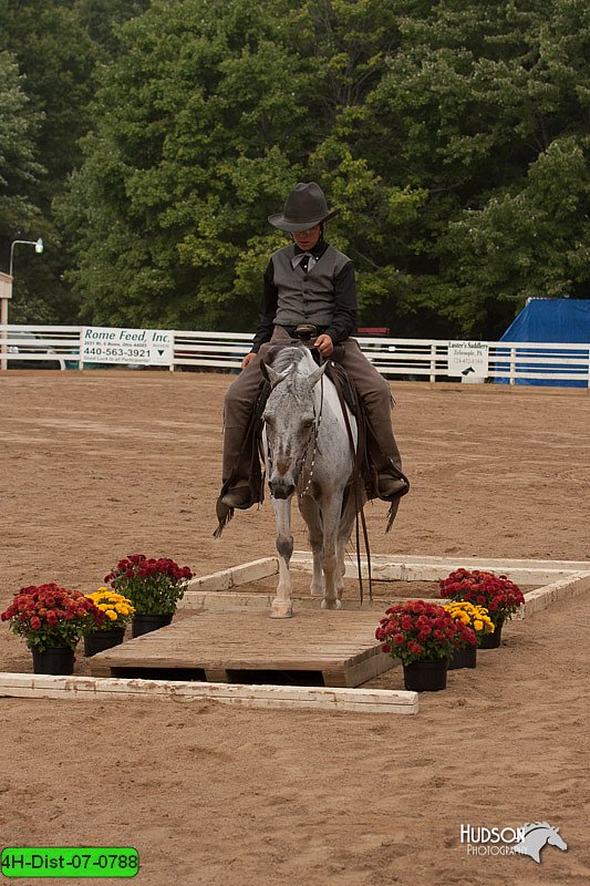 4H-Dist-07-0788.jpg