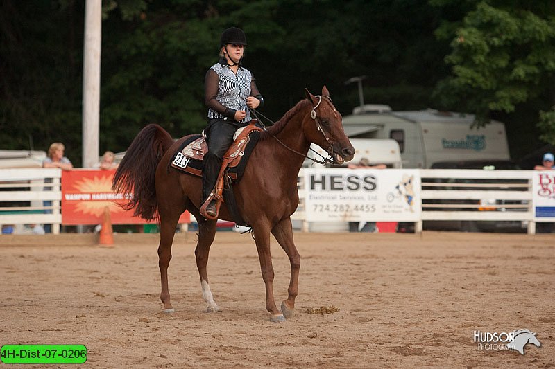 4H-Dist-07-0206.jpg