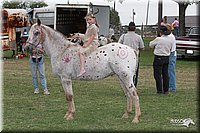 LC_Fair_07-_0924.jpg