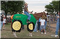 LC_Fair_07-_0934.jpg