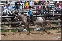 LC_Fair_07-_0339.jpg