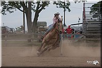 LC_Fair_07-_0835.jpg