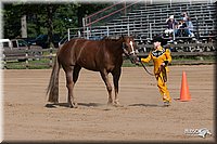 LC_Fair_07-_0146.jpg