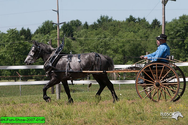 4H-Fun-Show-2007-0145.jpg