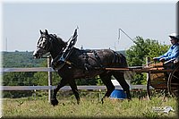 4H-Fun-Show-2007-0132.jpg