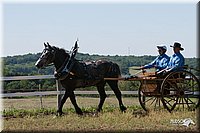 4H-Fun-Show-2007-0134.jpg