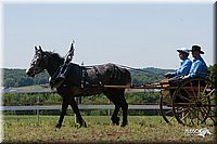 4H-Fun-Show-2007-0143.jpg