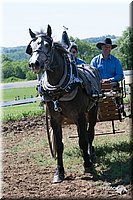 4H-Fun-Show-2007-0151.jpg