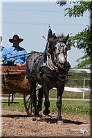 4H-Fun-Show-2007-0157.jpg