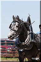 4H-Fun-Show-2007-0159.jpg