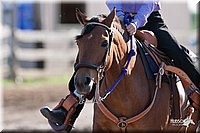 4H-Fun-Show-2007-0646.jpg