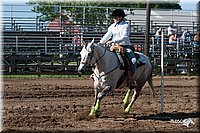 4H-Fun-Show-2007-0530.jpg