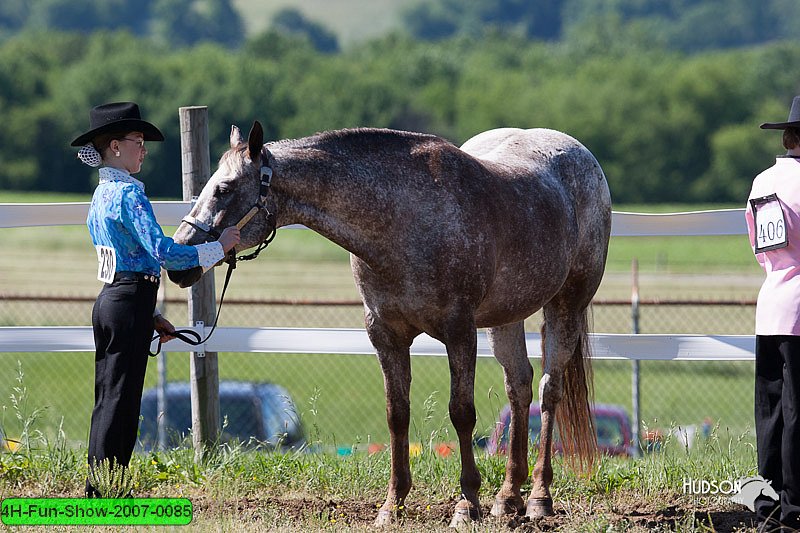 4H-Fun-Show-2007-0085.jpg