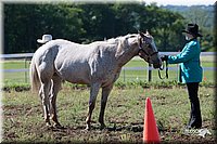 4H-Fun-Show-2007-0002.jpg