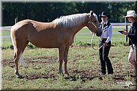 4H-Fun-Show-2007-0008.jpg