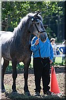 4H-Fun-Show-2007-0040.jpg