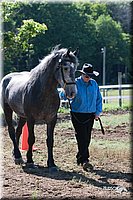 4H-Fun-Show-2007-0041.jpg