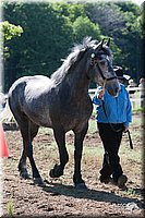 4H-Fun-Show-2007-0042.jpg