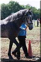 4H-Fun-Show-2007-0043.jpg