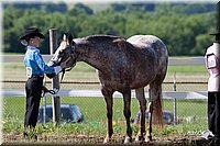 4H-Fun-Show-2007-0085.jpg