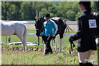 4H-Fun-Show-2007-0088.jpg