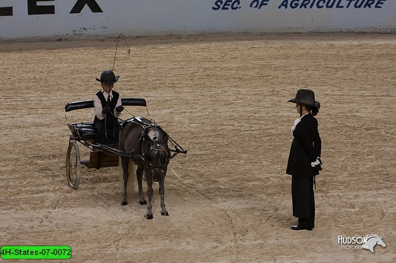 4H-States-07-0072.jpg