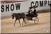 4H-States-07-0078.jpg