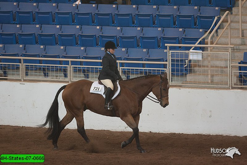 4H-States-07-0666.jpg
