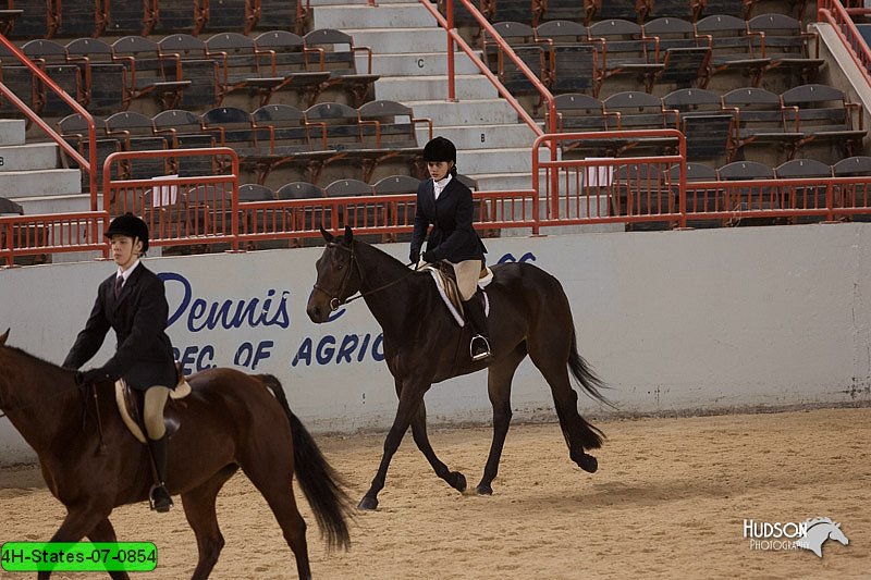 4H-States-07-0854.jpg