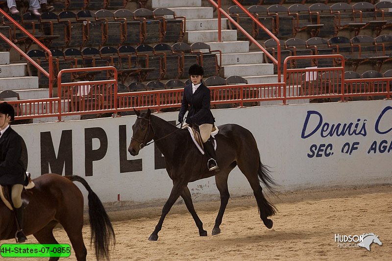4H-States-07-0855.jpg