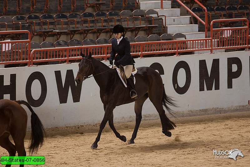 4H-States-07-0856.jpg