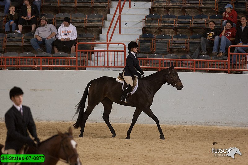 4H-States-07-0877.jpg