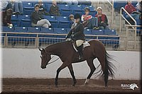 4H-States-07-0631.jpg