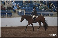 4H-States-07-0640.jpg